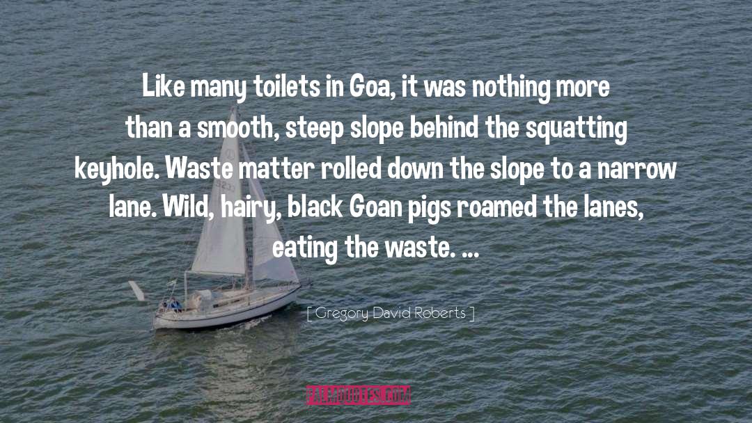Goa quotes by Gregory David Roberts
