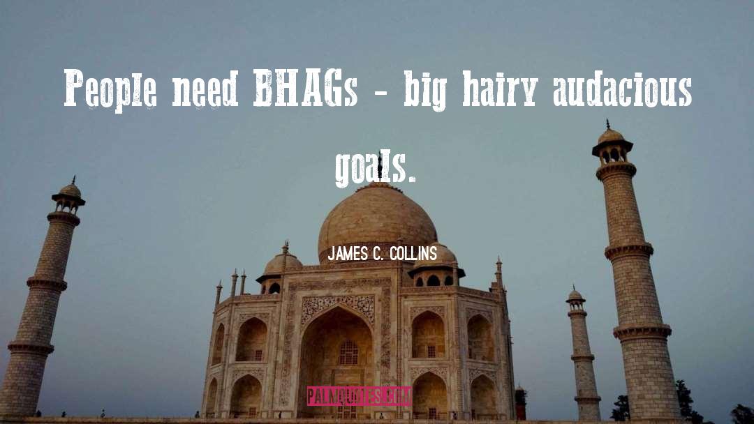 Goal 2 quotes by James C. Collins