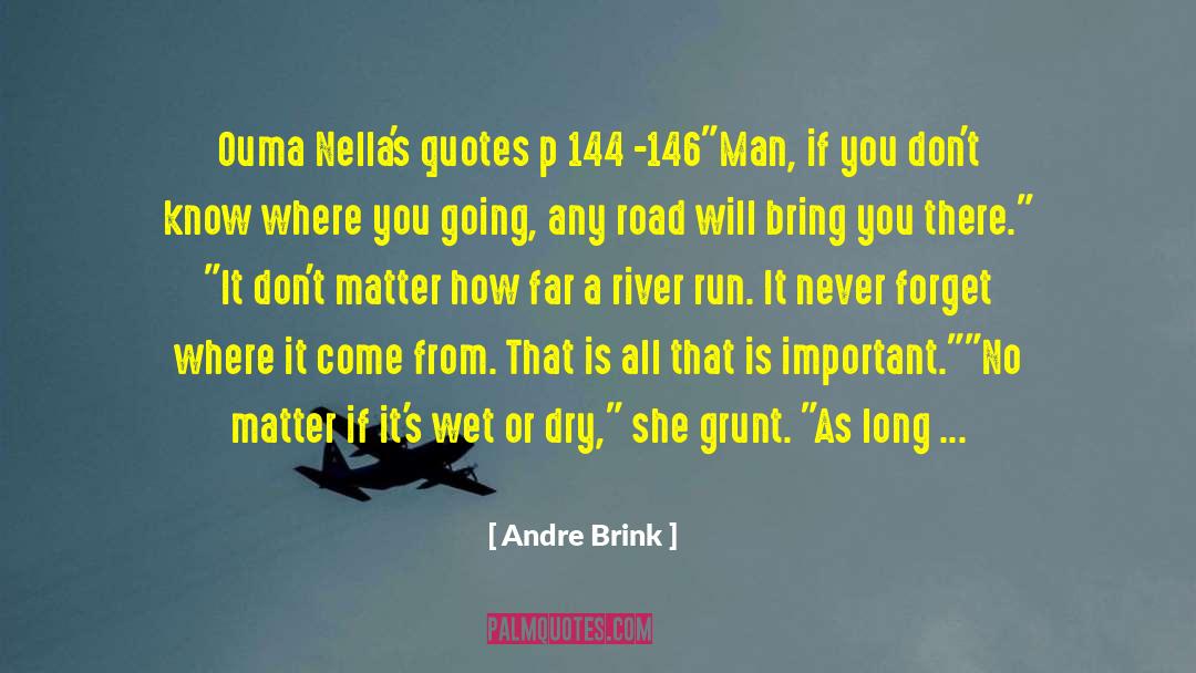 Goals Are Important quotes by Andre Brink