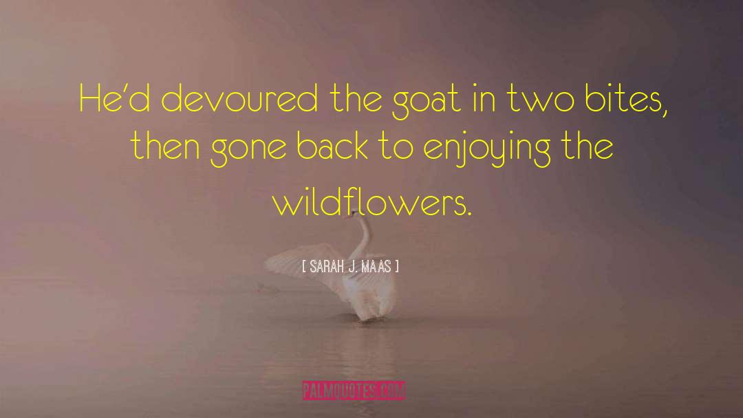 Goat quotes by Sarah J. Maas