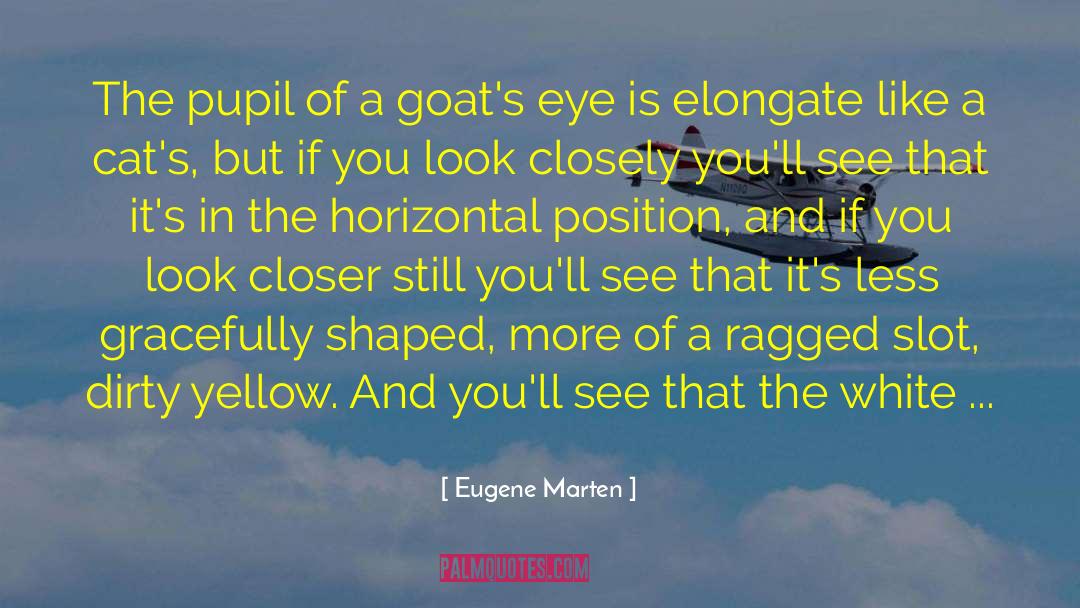 Goats Eye quotes by Eugene Marten