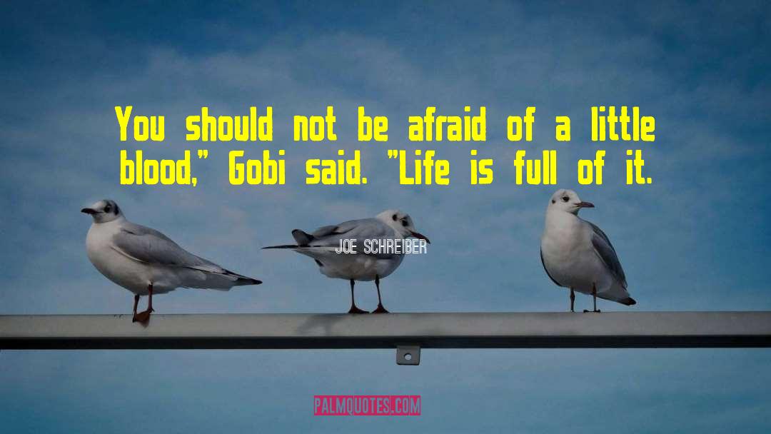 Gobi quotes by Joe Schreiber