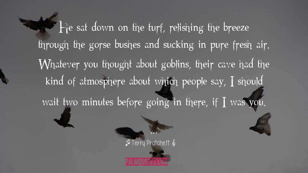 Goblins quotes by Terry Pratchett