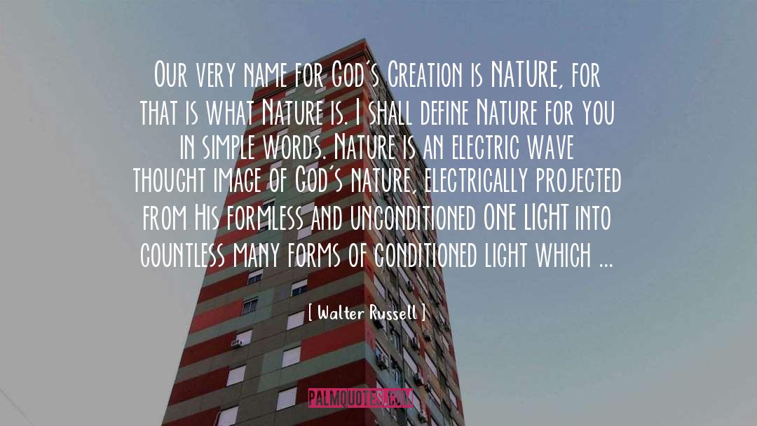 God 27s Plan quotes by Walter Russell