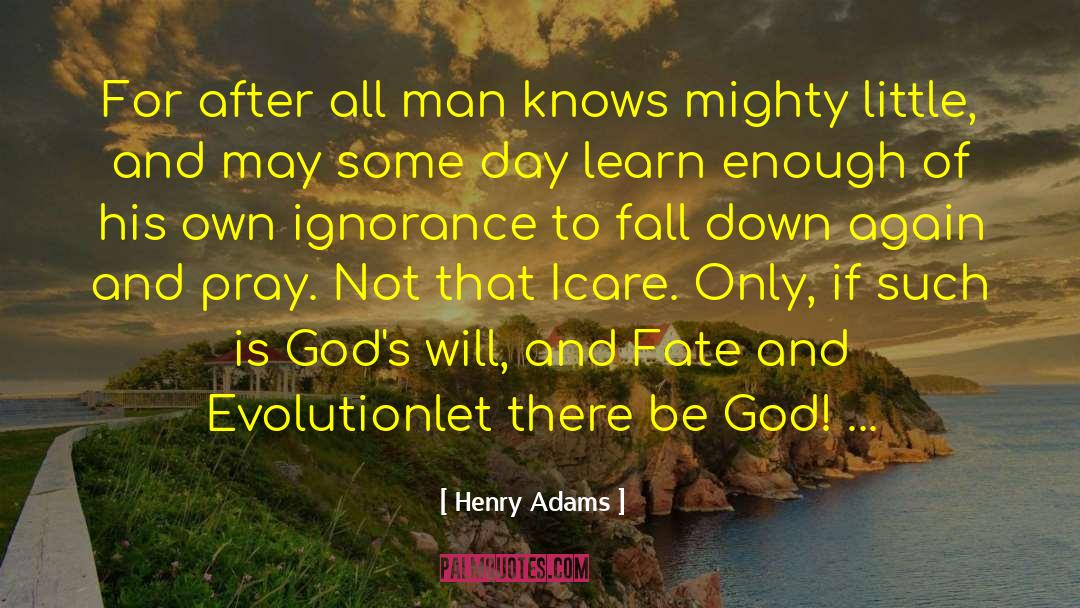 God 27s Will quotes by Henry Adams