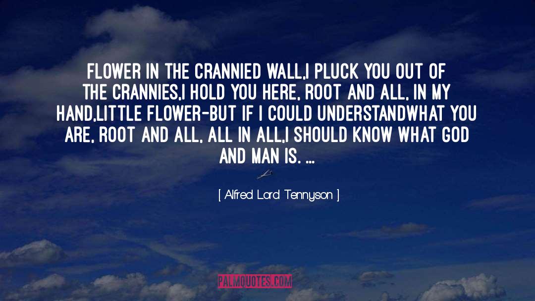 God And Man quotes by Alfred Lord Tennyson