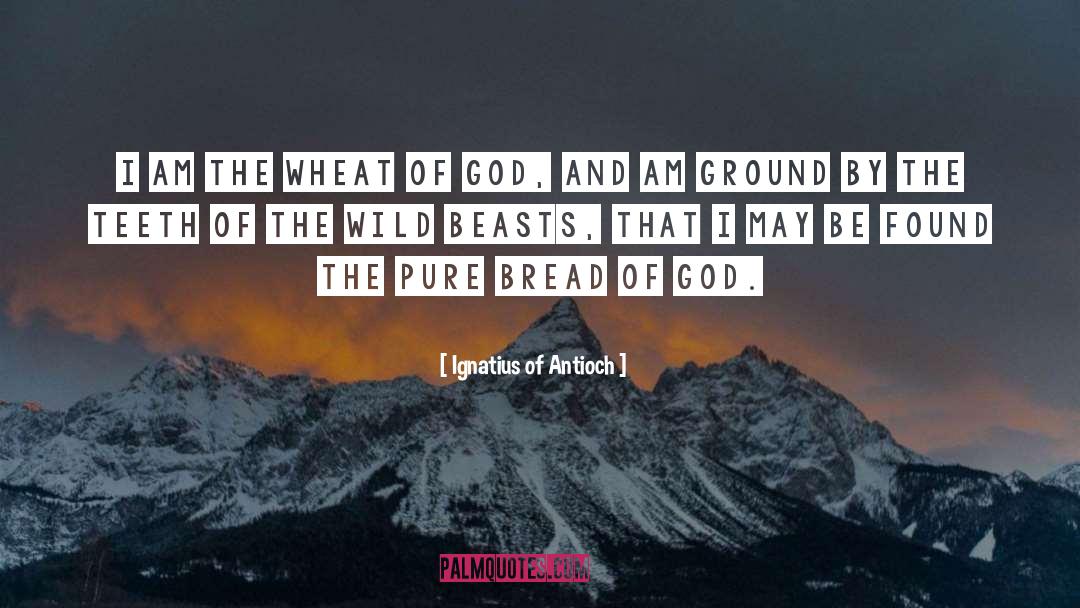 God Catholic quotes by Ignatius Of Antioch