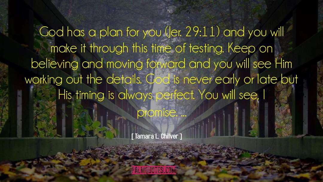 God Has A Plan quotes by Tamara L. Chilver