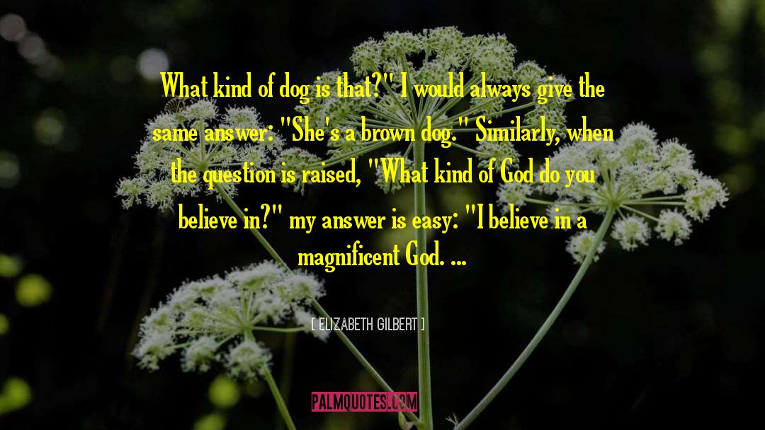 God Is Always In Control quotes by Elizabeth Gilbert