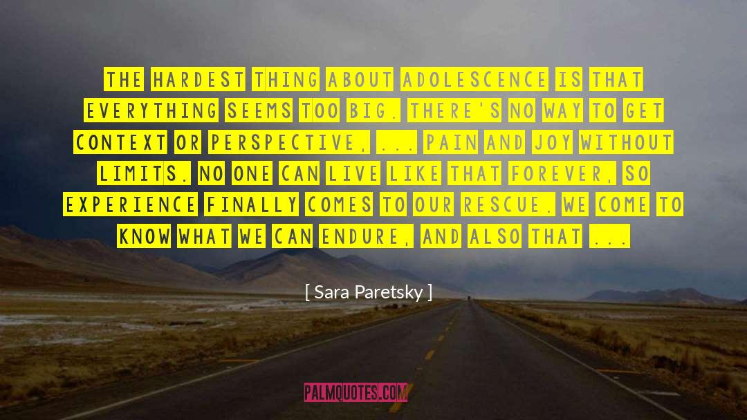 God Knows Everything quotes by Sara Paretsky