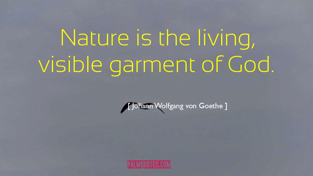 God Nature quotes by Johann Wolfgang Von Goethe