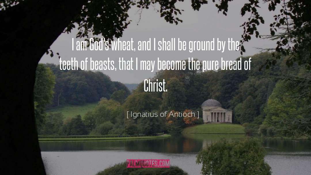 God Ness quotes by Ignatius Of Antioch