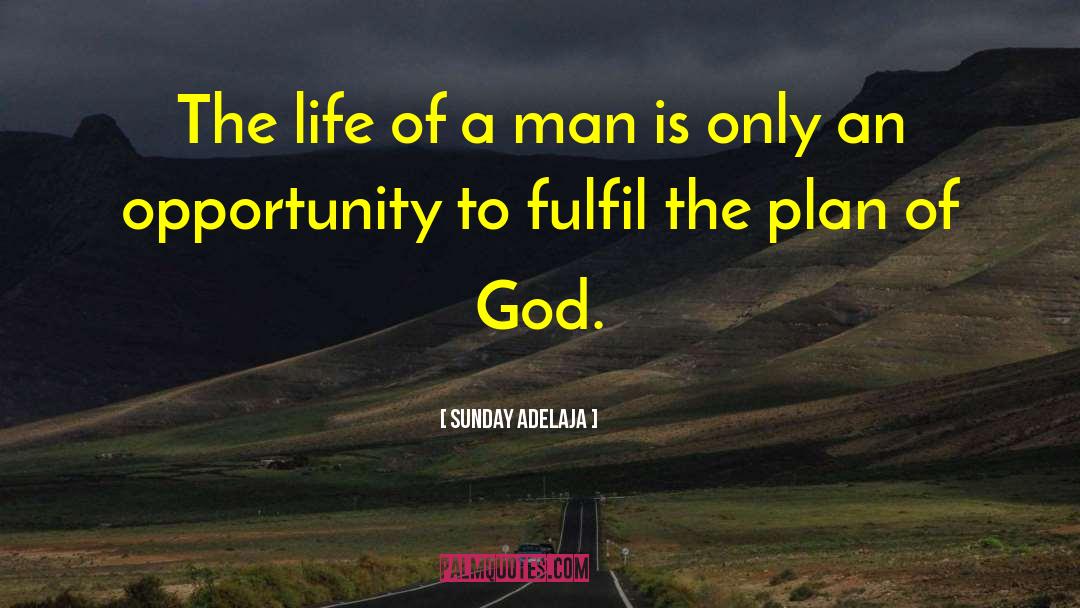 God S Plan quotes by Sunday Adelaja