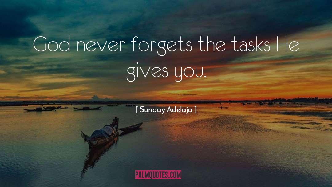 God S Purpose quotes by Sunday Adelaja