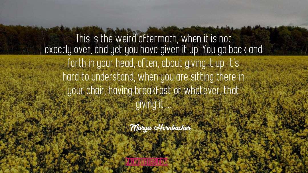 Goddamn quotes by Marya Hornbacher