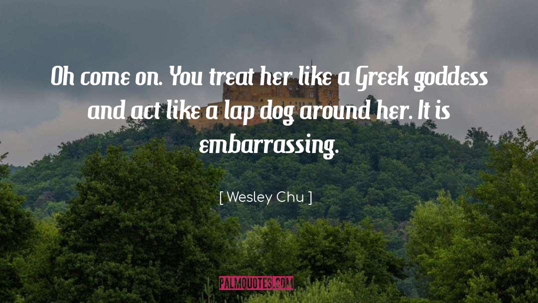 Goddess Interrupted quotes by Wesley Chu