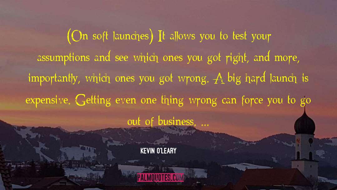 Goddess Test quotes by Kevin O'Leary