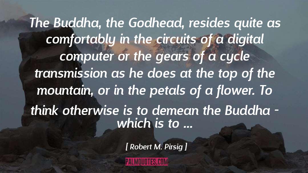 Godhead quotes by Robert M. Pirsig