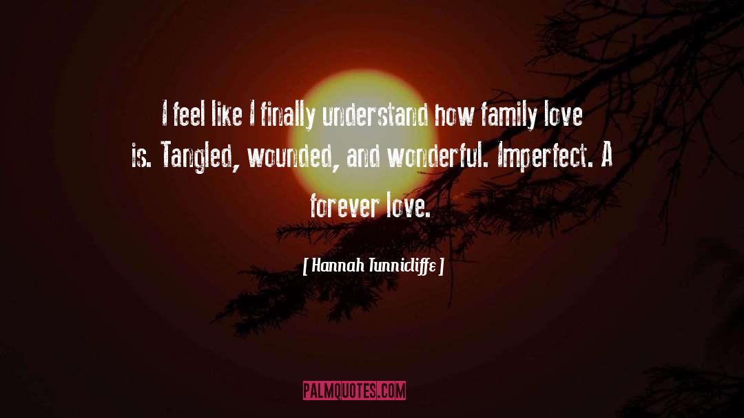 Godly Family quotes by Hannah Tunnicliffe