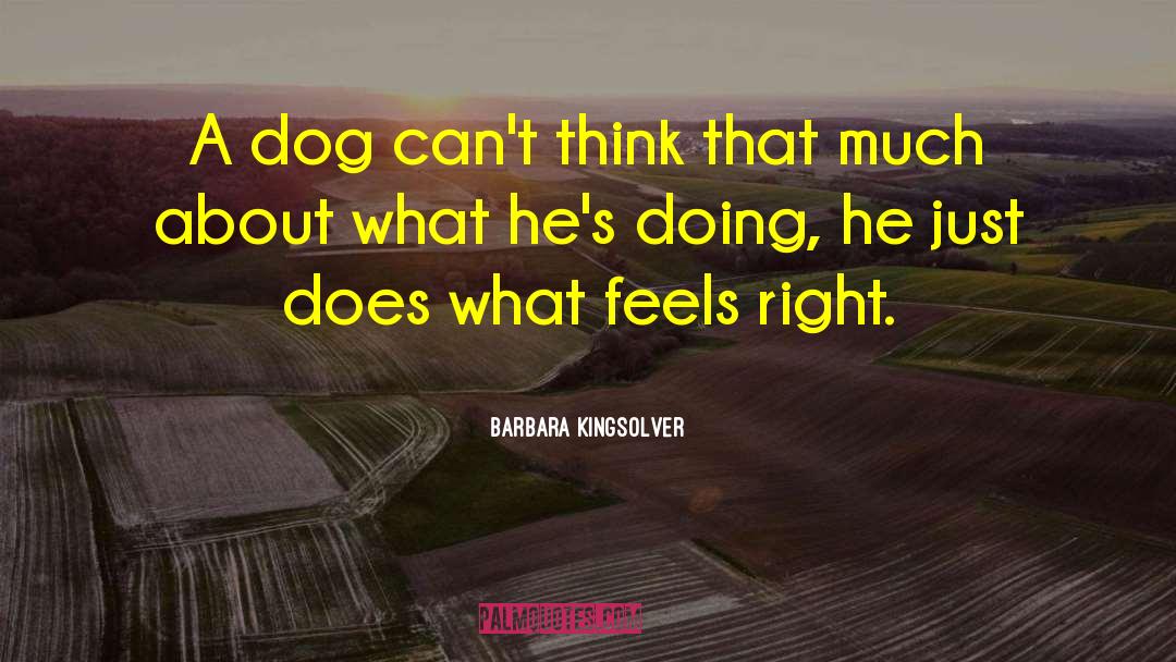 Godown Dog quotes by Barbara Kingsolver