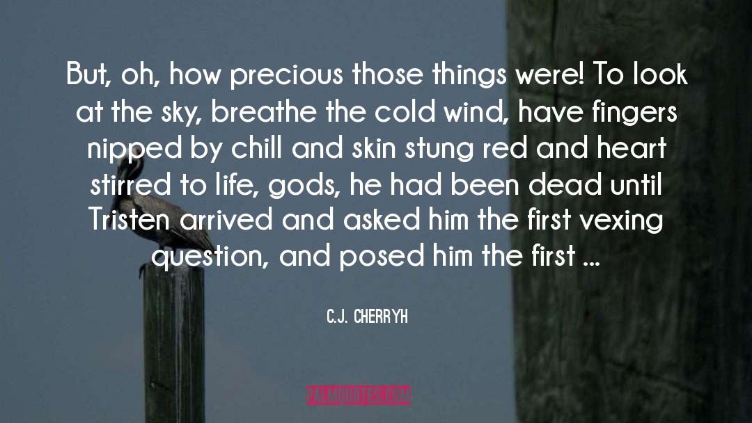Gods Calling quotes by C.J. Cherryh