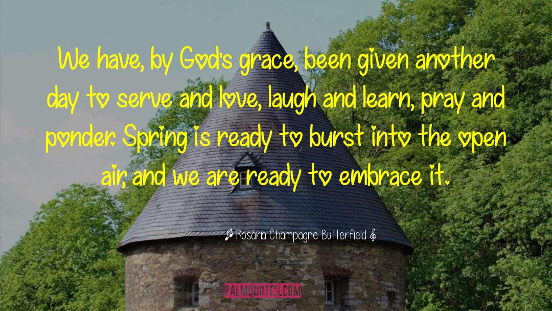 Gods Grace quotes by Rosaria Champagne Butterfield