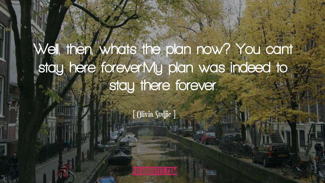 Gods Plan Vs My Plan quotes by Olivia Sudjic
