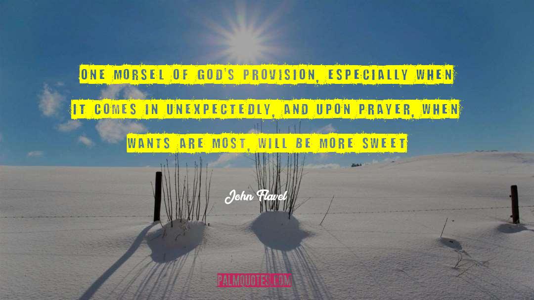 Gods Provision quotes by John Flavel