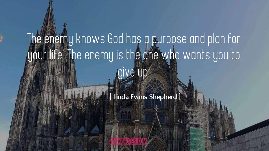 Gods Purpose quotes by Linda Evans Shepherd