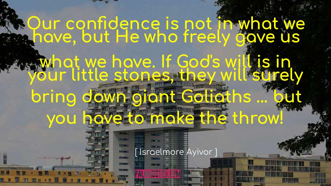 Gods Will quotes by Israelmore Ayivor