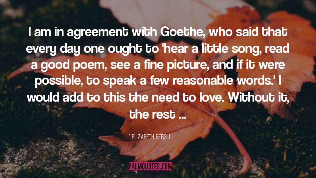 Goethe quotes by Elizabeth Berg