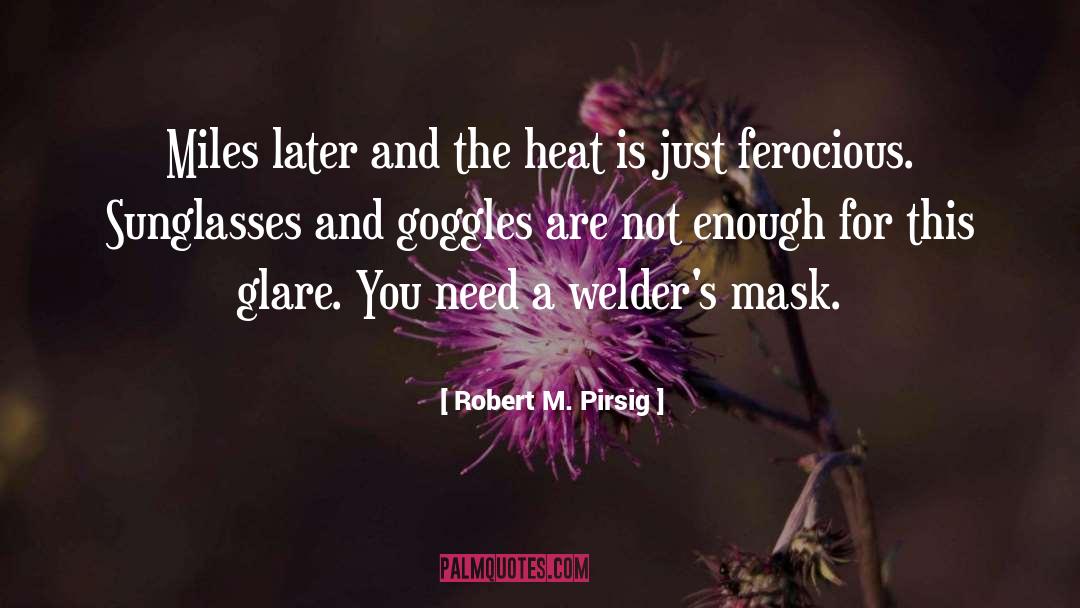 Goggles quotes by Robert M. Pirsig