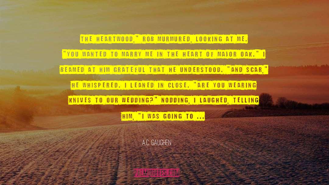 Going Back In The Past quotes by A.C. Gaughen