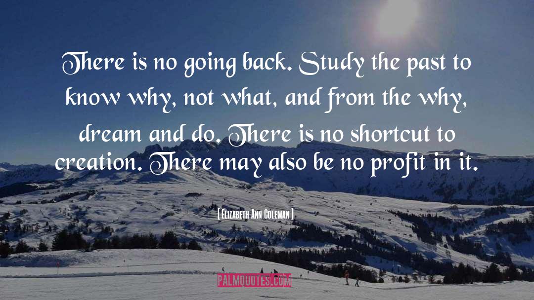 Going Back In The Past quotes by Elizabeth Ann Coleman