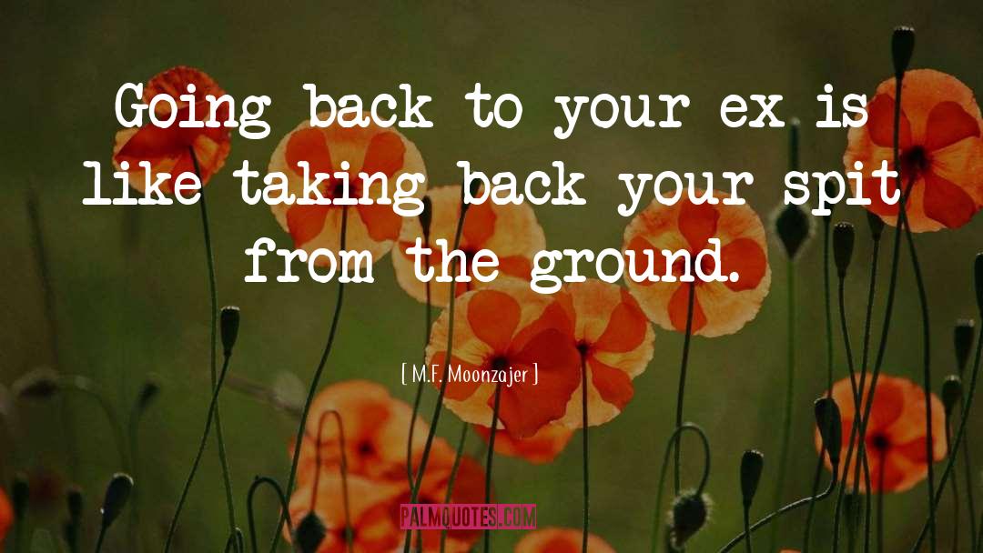 Going Back quotes by M.F. Moonzajer