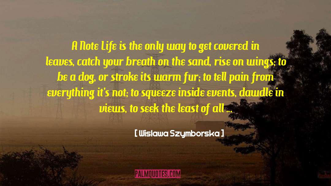 Going Backwards In Life quotes by Wislawa Szymborska