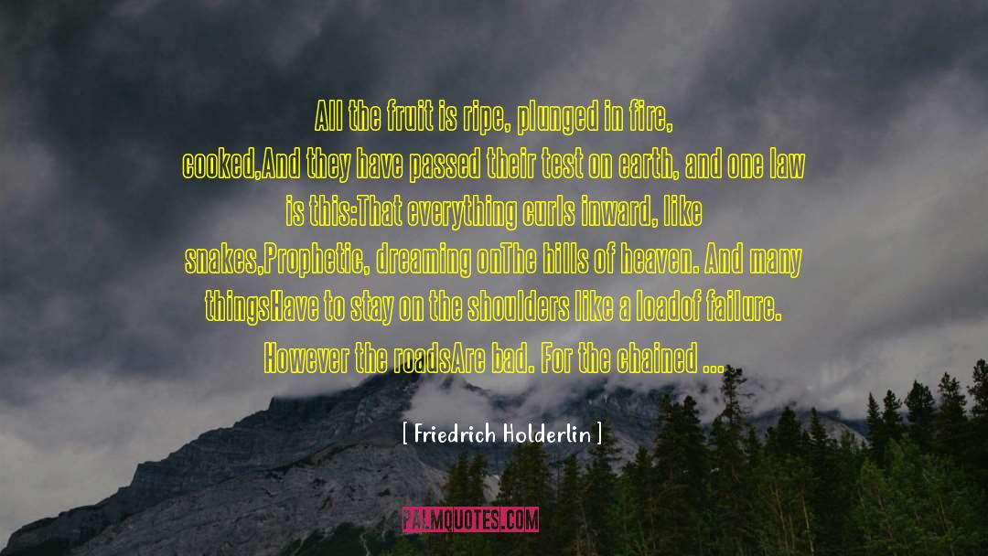 Going Backwards In Life quotes by Friedrich Holderlin