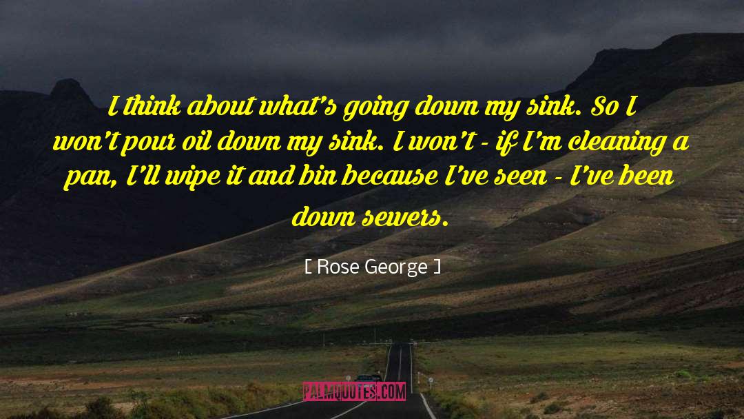 Going Down quotes by Rose George