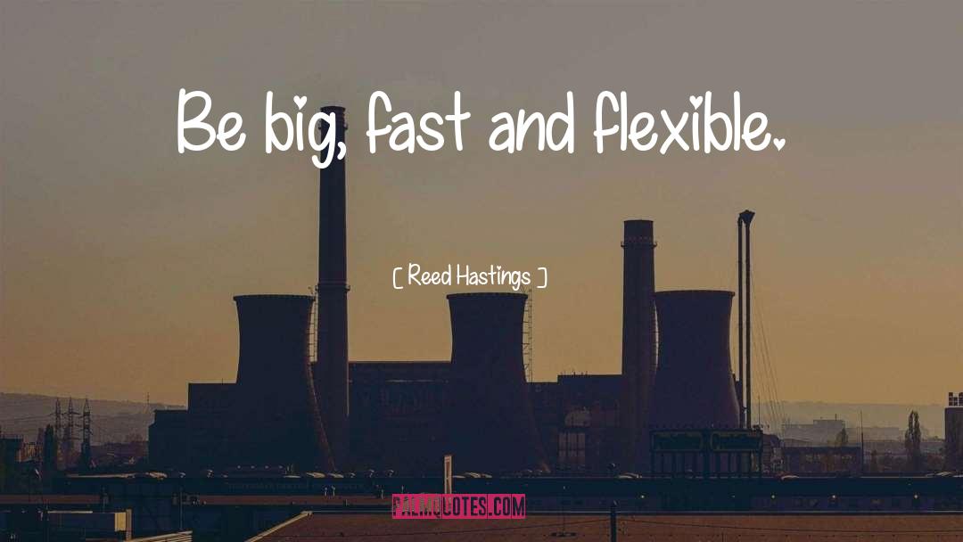 Going Fast quotes by Reed Hastings