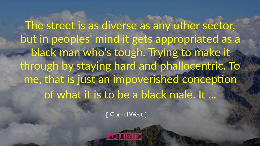 Going Gets Tough quotes by Cornel West