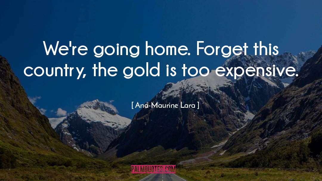 Going Home quotes by Ana-Maurine Lara