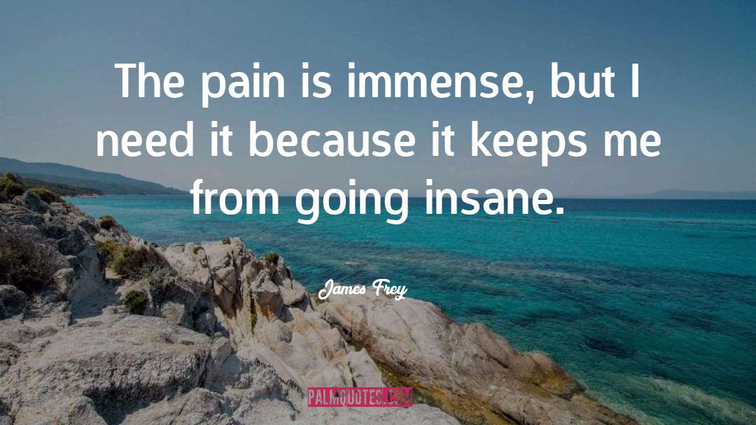 Going Insane quotes by James Frey