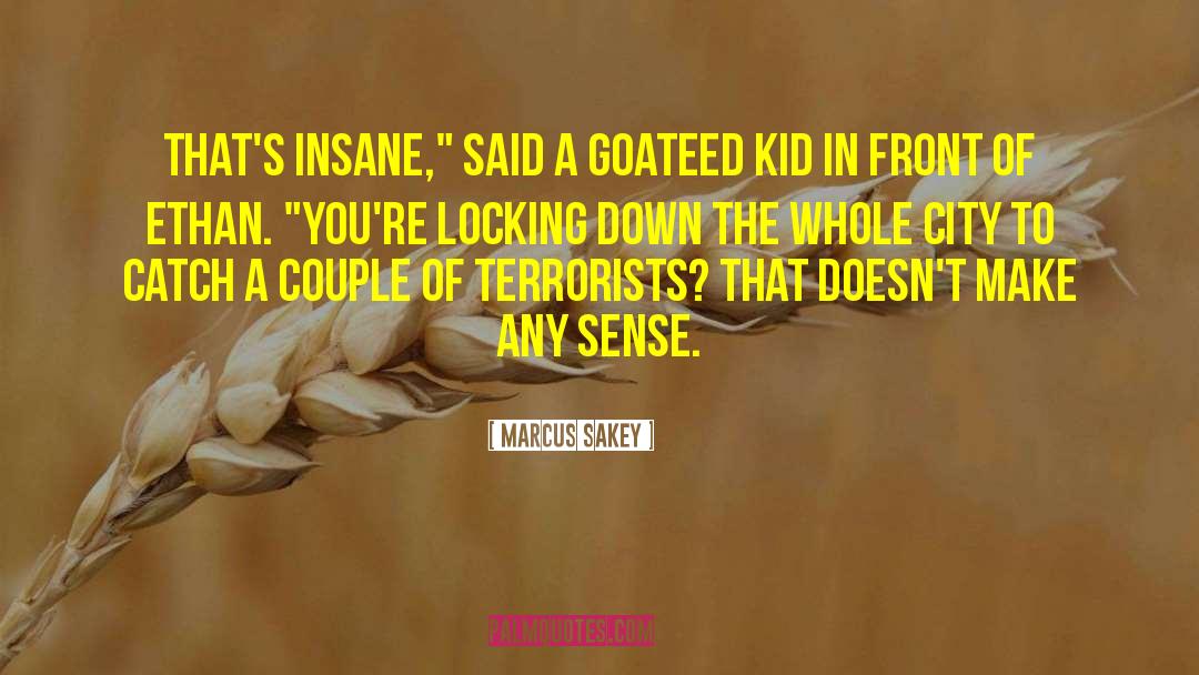 Going Insane quotes by Marcus Sakey