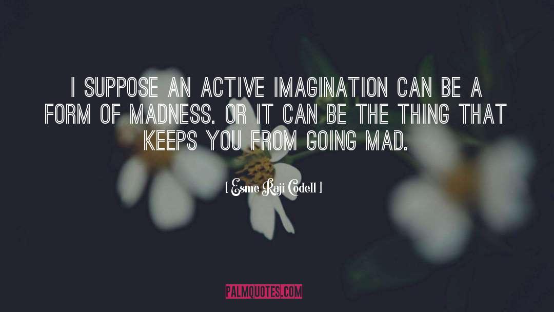 Going Mad quotes by Esme Raji Codell