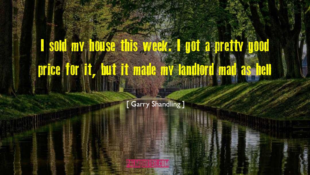 Going Mad quotes by Garry Shandling