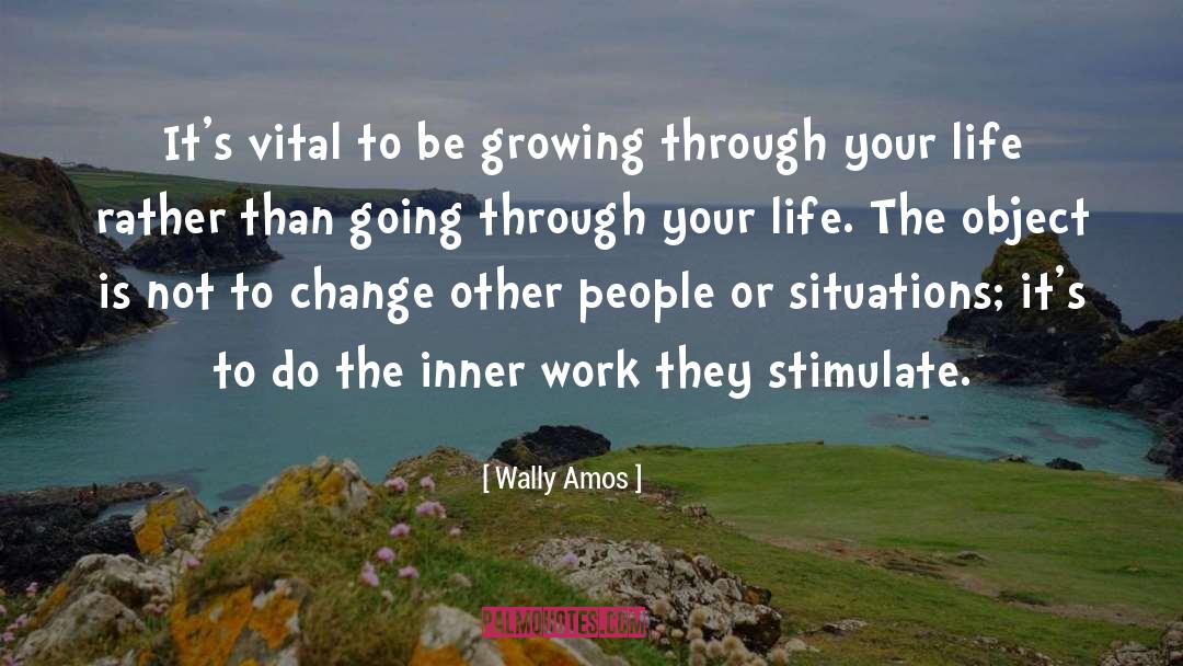 Going Through quotes by Wally Amos