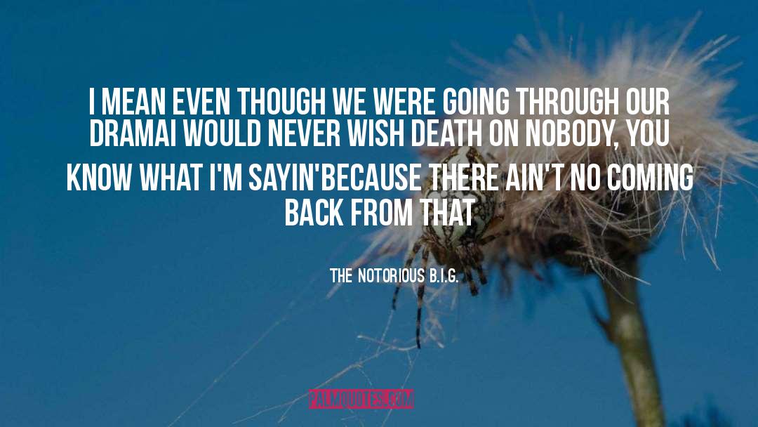 Going Through quotes by The Notorious B.I.G.