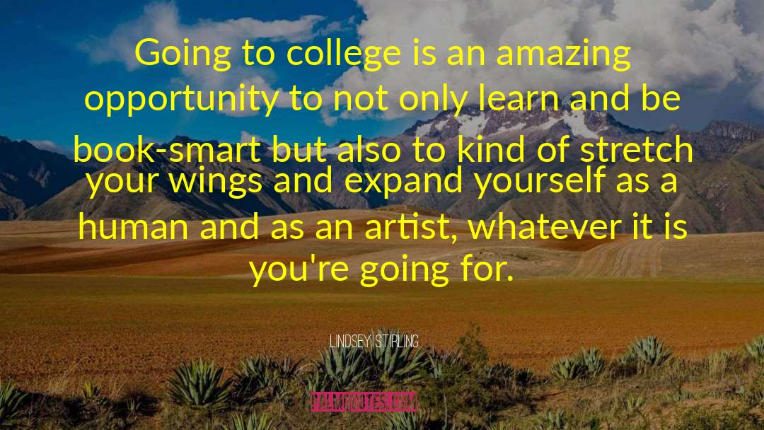 Going To College quotes by Lindsey Stirling