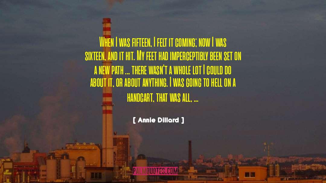 Going To Hell quotes by Annie Dillard