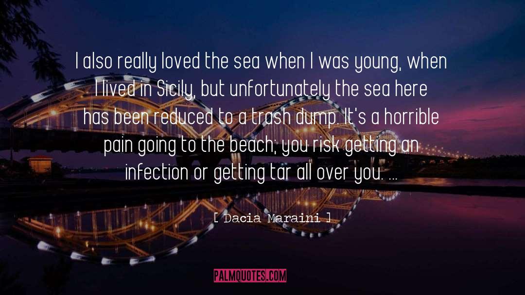 Going To The Beach quotes by Dacia Maraini